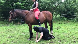 After the ride without saddle the slave licks the riding trousers cleanly