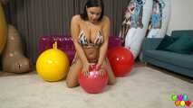 1079 Sofia and the 5 bouncing balls