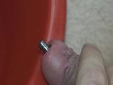Pissing through the urethral plug
