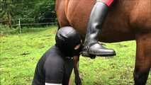 After the ride without saddle the slave licks the riding trousers cleanly