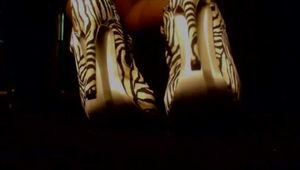 Sexy zebra high heels