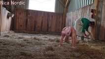 Piggy's last feeding