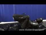 Rubber Dog in Rubber Ball