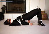 Confident Catburglar Hogtied - Tomiko