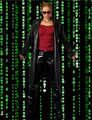 Matrix-Girl Zarah