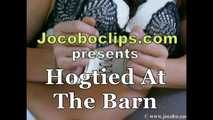 Hogtied At The Barn