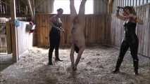 Training in the stable with Mistress Kristin