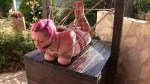 Breasts Bound Hogtie Hell for Nova Pink