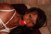 Dani - white rope and ballgag