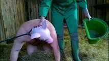 Today I slaughter a fat pig ( role play )