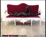 Blind Pony - video