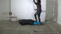 Dama Cesara - Boot worship, hard whipping and trampling