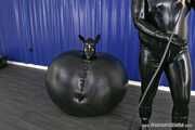 The Dog as Ball, Punishment Inflament