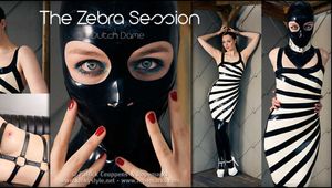 The Zebra Session