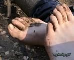 Barefeet in the wood 2 (VCD)