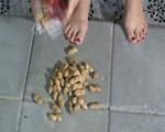 crushing peanuts