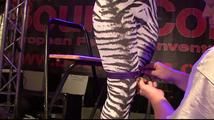 Taming the Zebra - Yvette Live