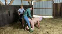 Slaughter day with Amely Pain which pig is today's turn