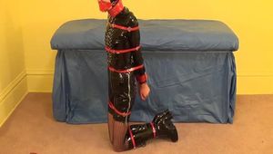 Gothic girl in shiny bondage