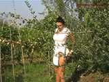 016137 Eve Also Pees By The Vines & Pinches A Few Grapes