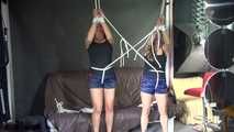 Watching sexy Stella and Sandra both wearing a hot shiny nylon shorts and a top being tied and gagged overhead with ropes and a ballgag (Video)