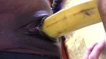 Spread Pussy - Messy Banana Insertion