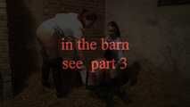 In the barn P2