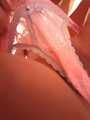 My pink thong and what's underneath